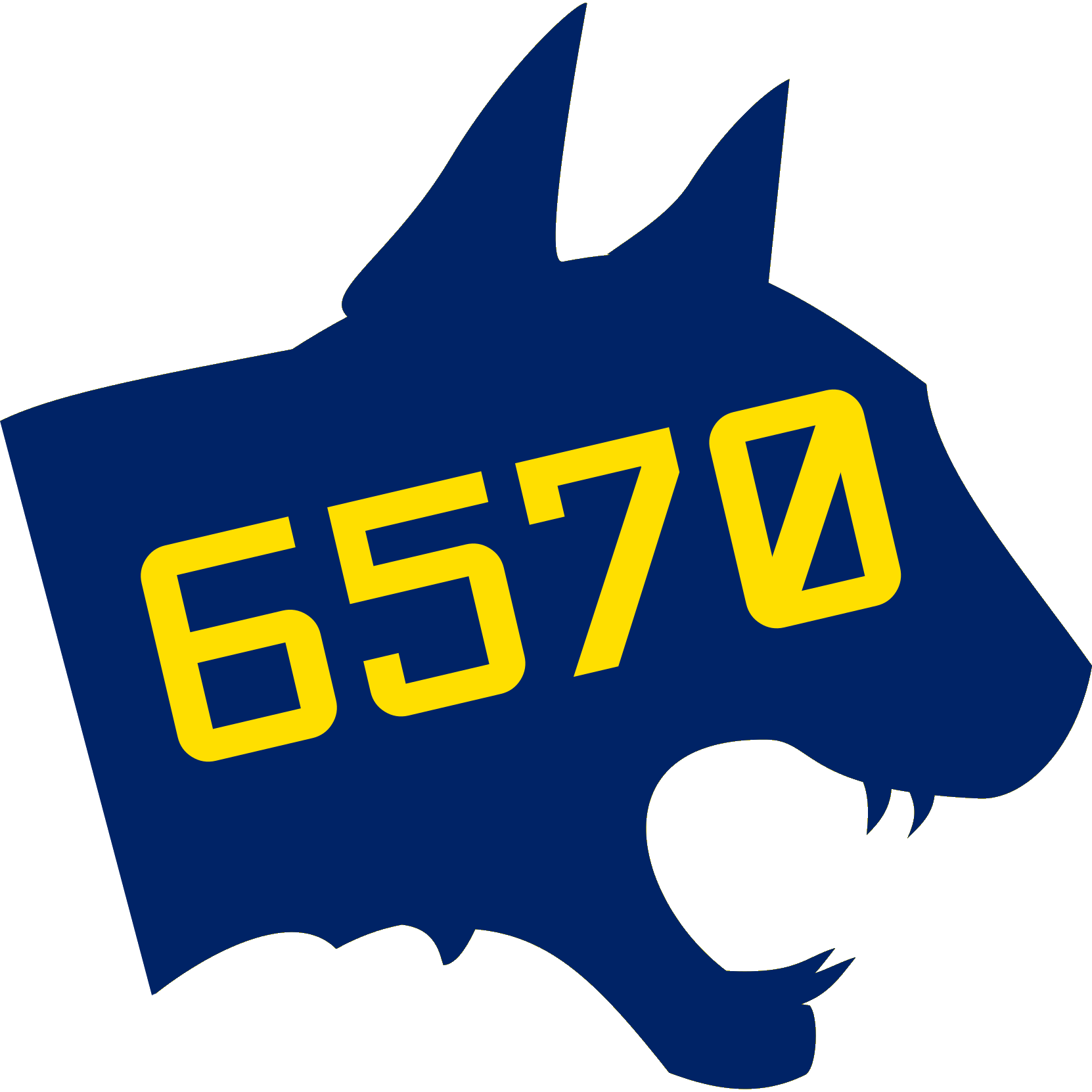 Team 6570